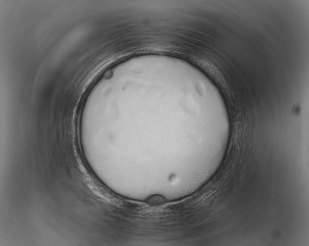 X0000115621039200912011610