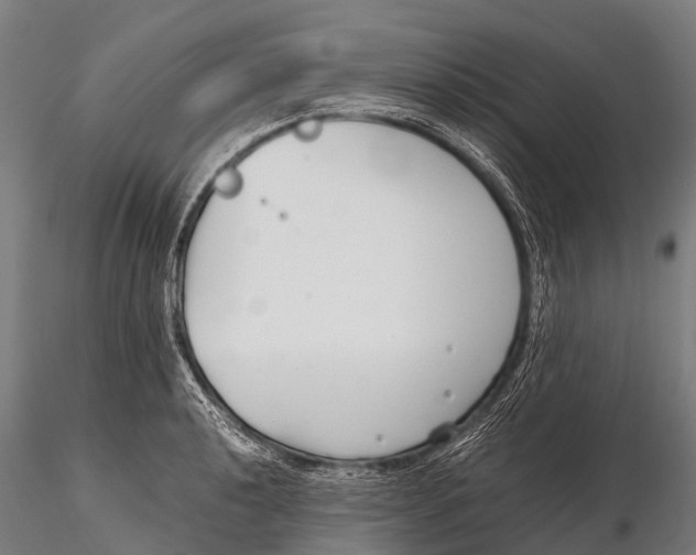 X0000115621040200912011610