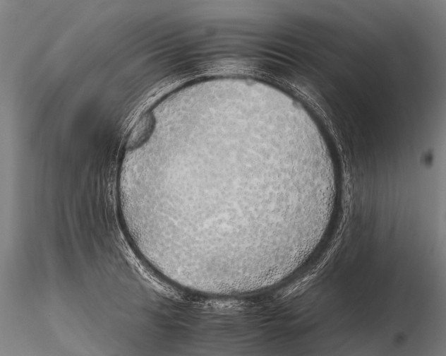 X0000115621041200912011610