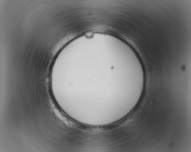 X0000115621042200912011610