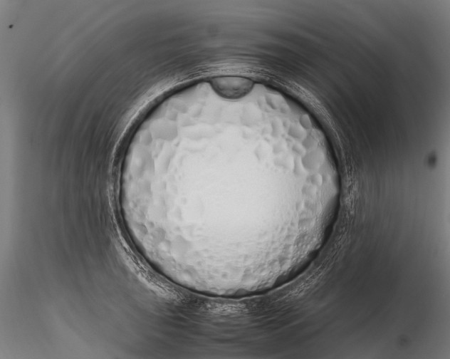 X0000115621043200912011610