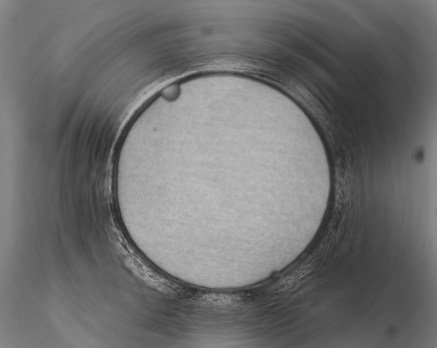 X0000115621044200912011610