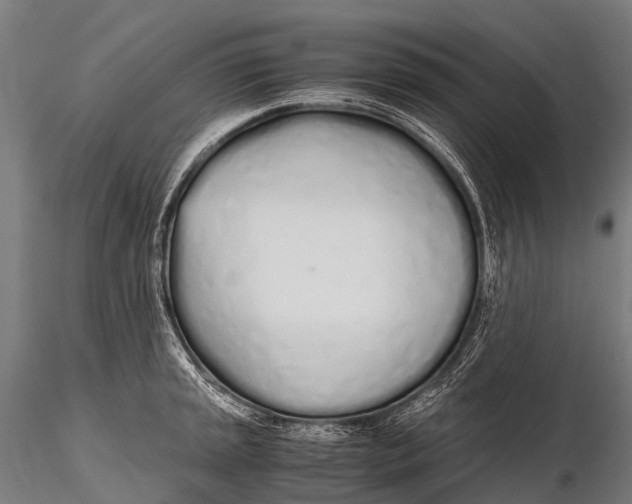 X0000115621045200912011610