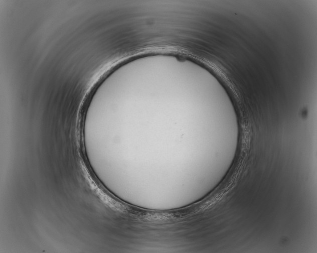 X0000115621046200912011610