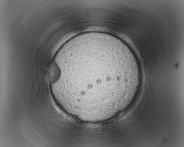 X0000115621049200912011610