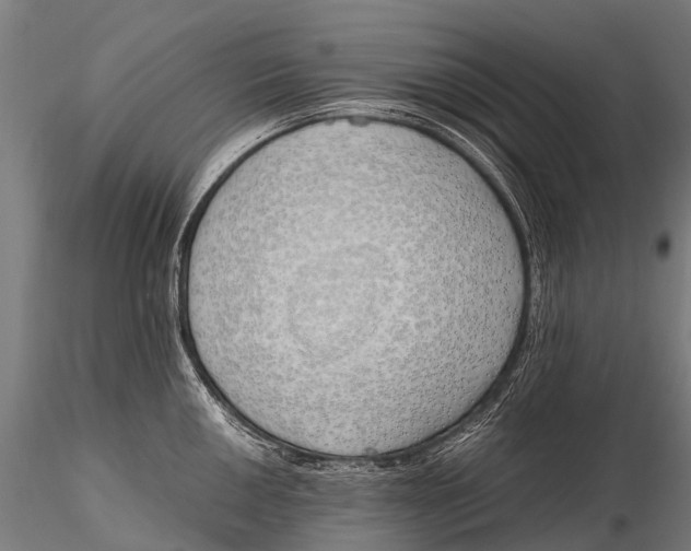 X0000115621050200912011610