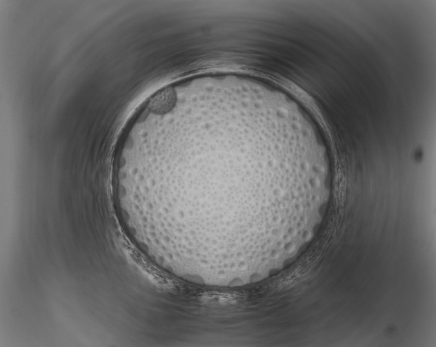 X0000115621051200912011610