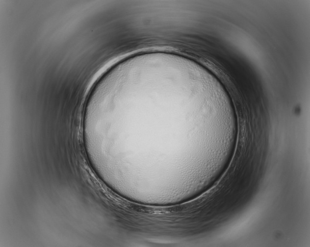 X0000115621052200912011610