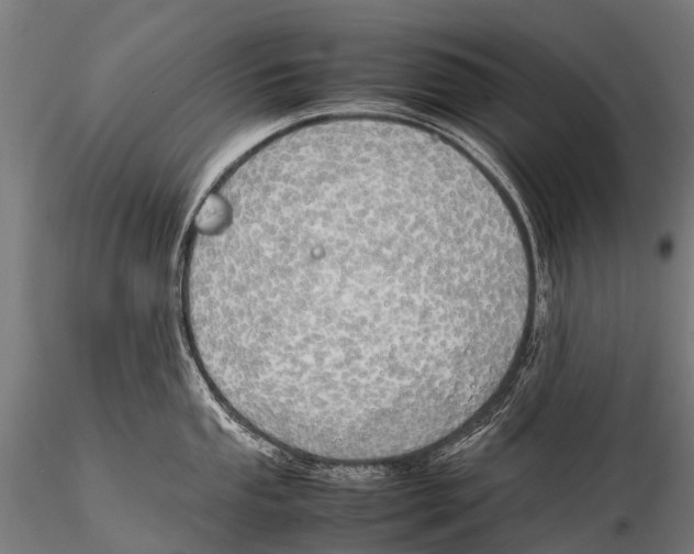 X0000115621053200912011610