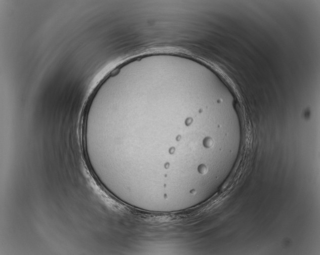 X0000115621054200912011610