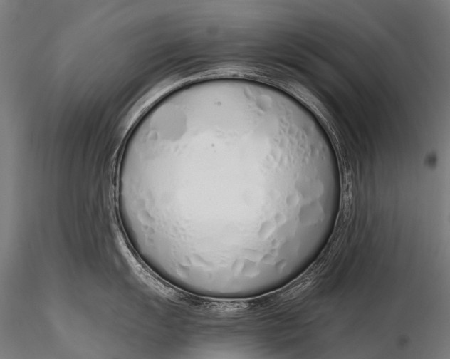 X0000115621055200912011610