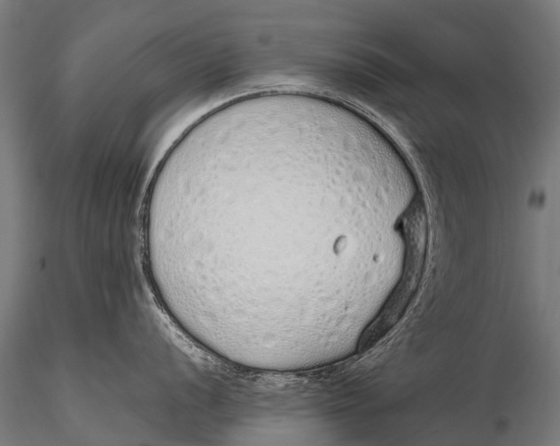 X0000115621056200912011610