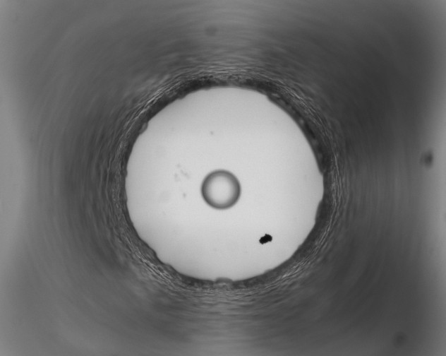 X0000115621057200912011609