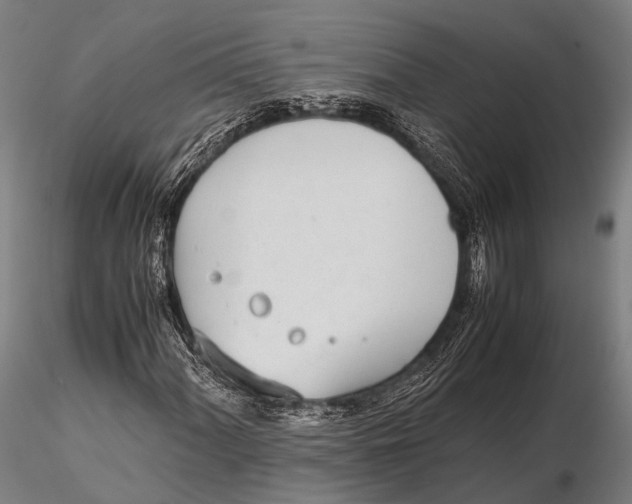 X0000115621060200912011609