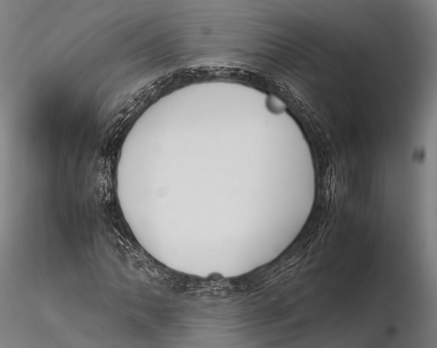 X0000115621062200912011609