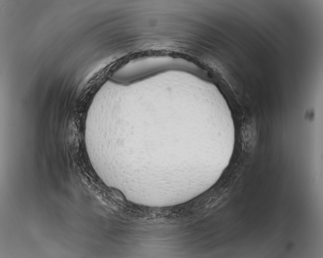 X0000115621064200912011609