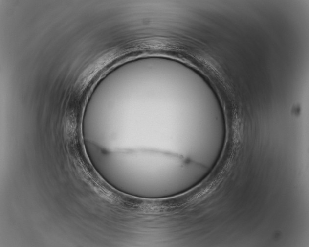 X0000115621065200912011609