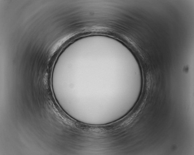 X0000115621066200912011609