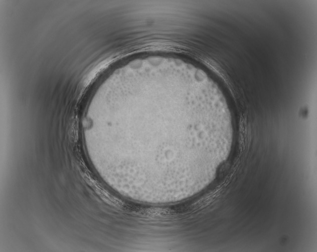 X0000115621067200912011609