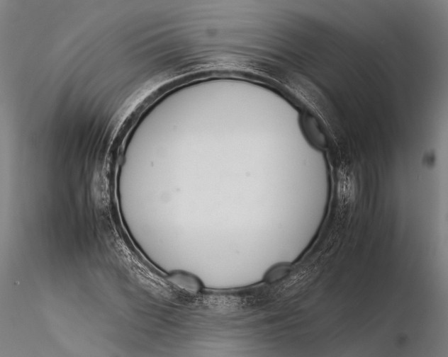 X0000115621068200912011609