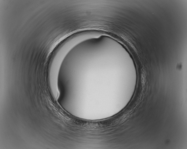 X0000115621069200912011609