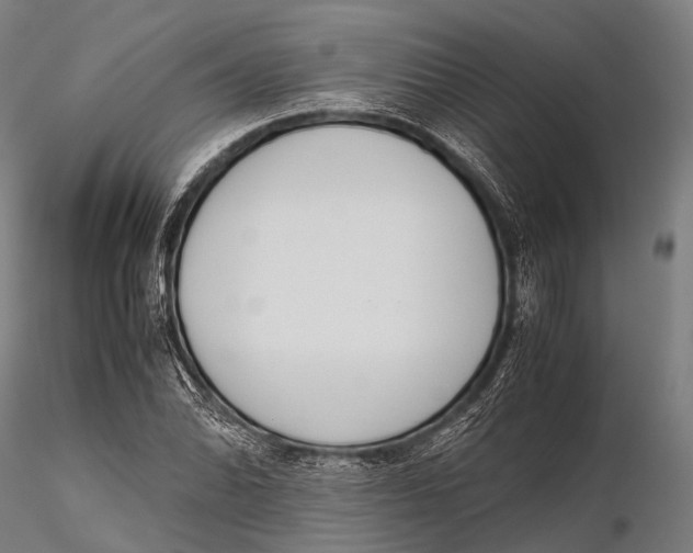 X0000115621070200912011609