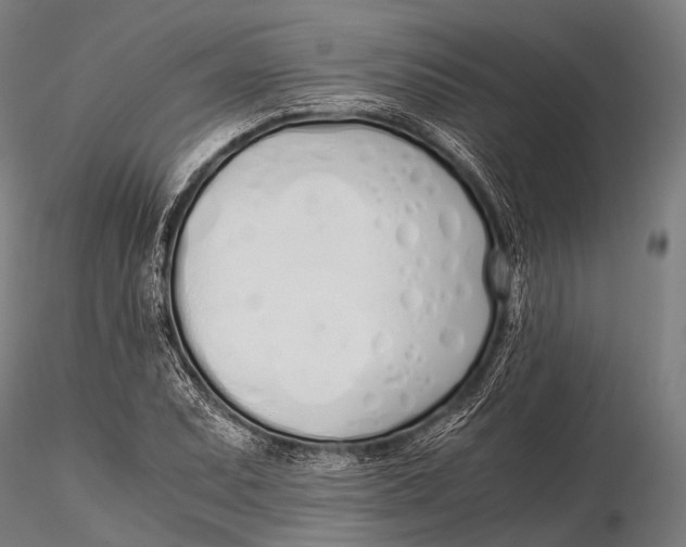 X0000115621071200912011609