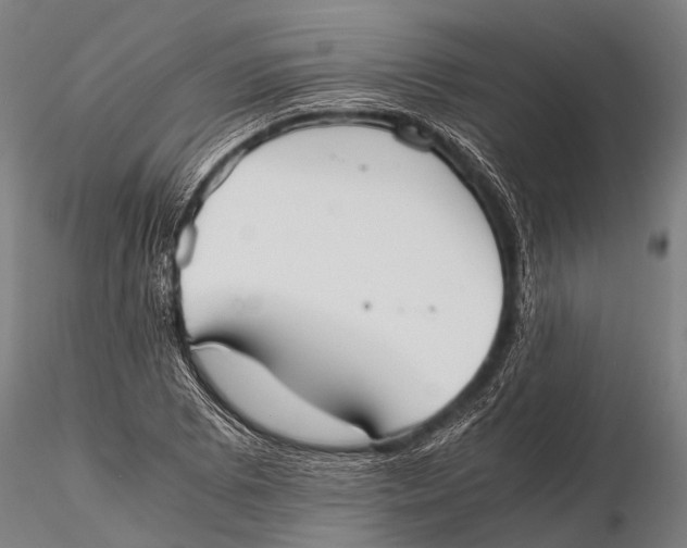 X0000115621073200912011609