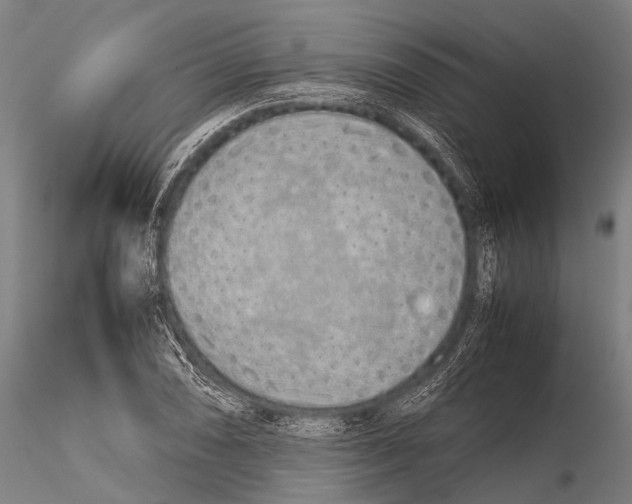 X0000115621074200912011609