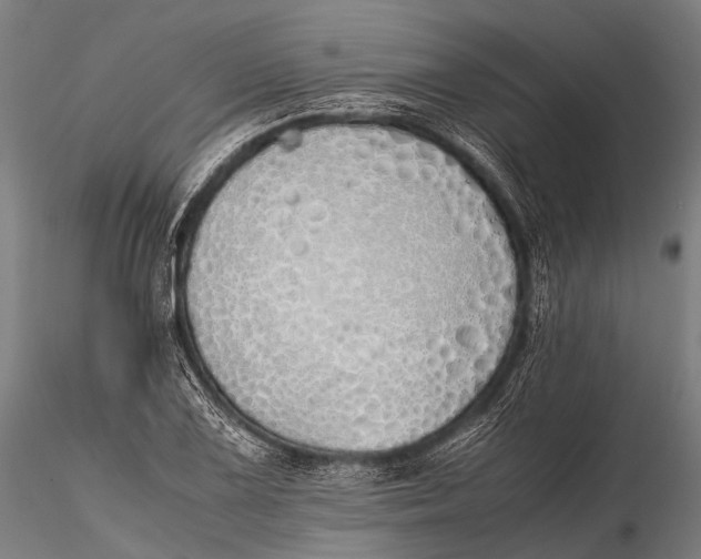 X0000115621075200912011609