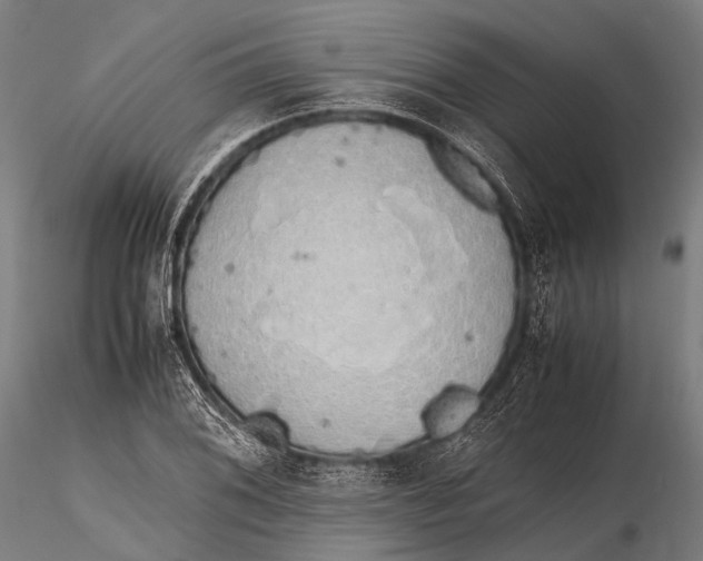 X0000115621076200912011609