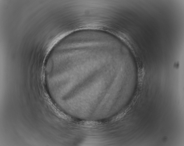 X0000115621077200912011609