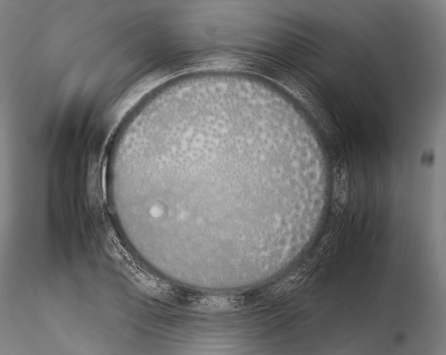 X0000115621078200912011609