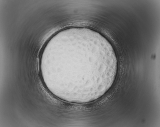 X0000115621079200912011609