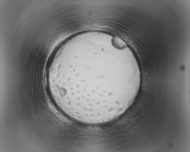 X0000115621080200912011609