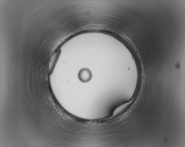 X0000115621081200912011609