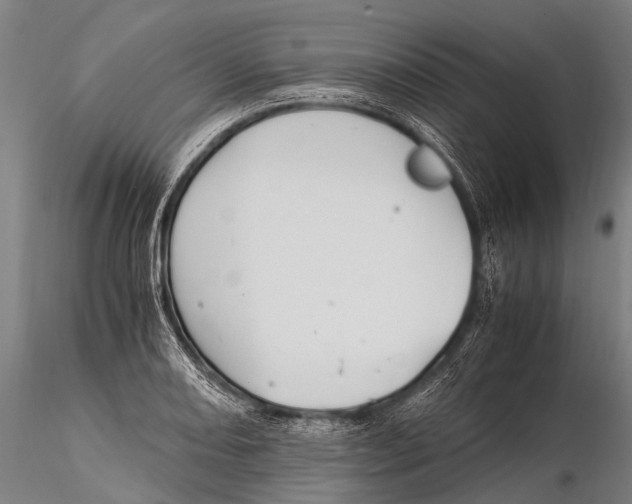 X0000115621082200912011609