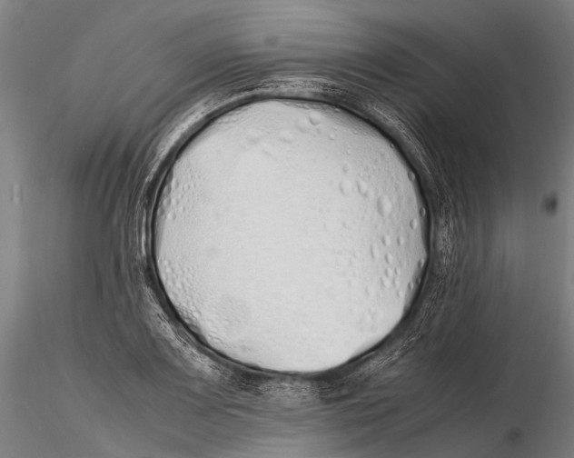 X0000115621083200912011609