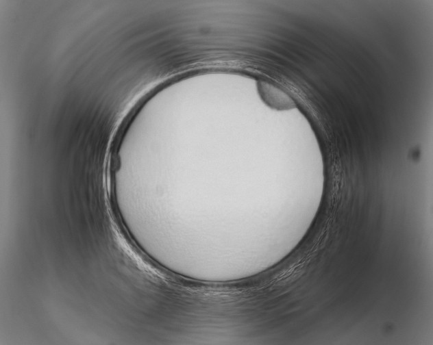 X0000115621084200912011609