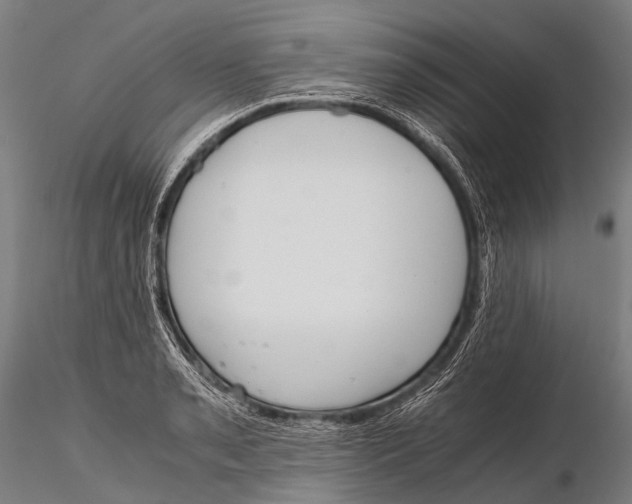 X0000115621085200912011609