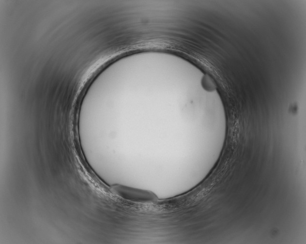 X0000115621086200912011609