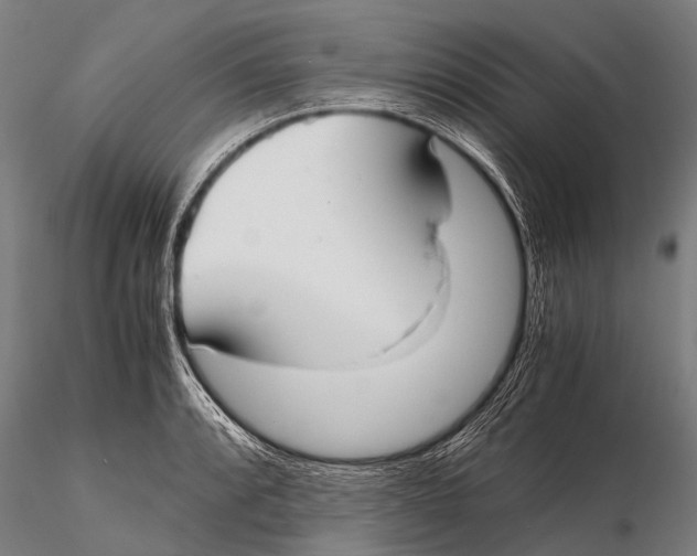 X0000115621088200912011609