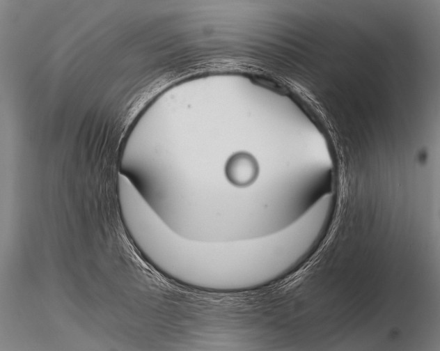 X0000115621089200912011609