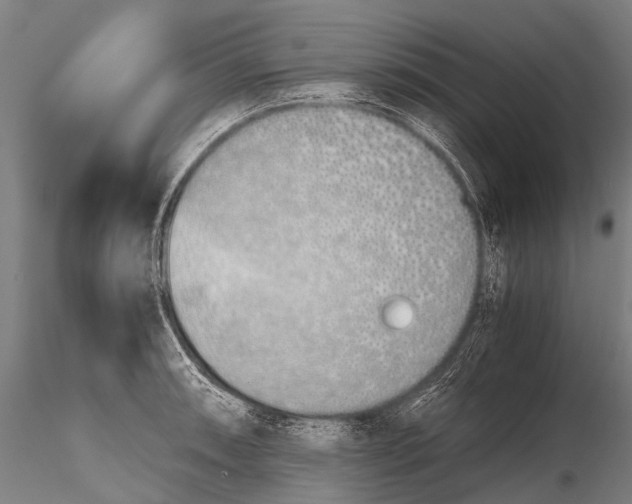 X0000115621090200912011609