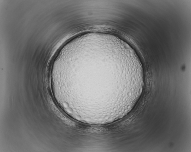 X0000115621091200912011609