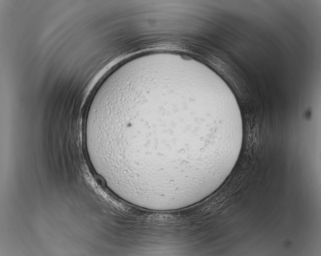 X0000115621092200912011609