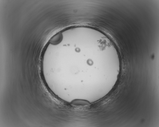 X0000115621093200912011609