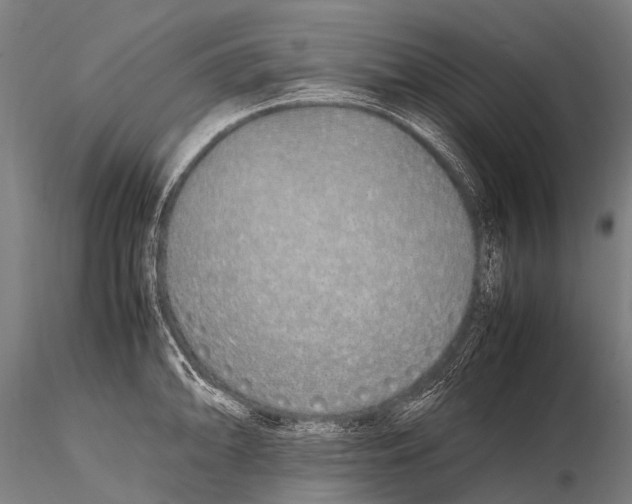 X0000115621094200912011609