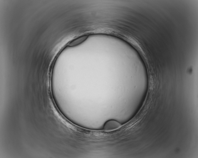 X0000115621095200912011609