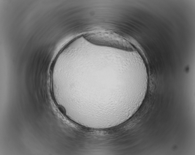 X0000115621096200912011609